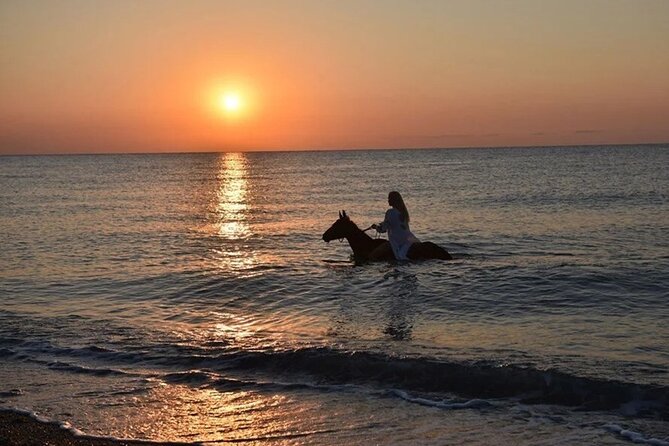 Antalya Horse Riding On Beach And Through The Forests For 2 Hours - Safety and Health Guidelines