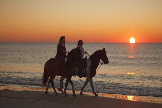 Antalya Horse Riding On Beach And Through The Forests For 2 Hours - Riding Options and Highlights