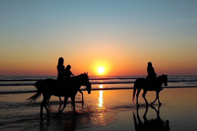 Antalya Horse Riding On Beach And Through The Forests For 2 Hours - Group Size and Duration
