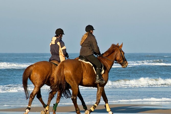 Antalya Horseback Riding Tour With Roundtrip Transfer - Customer Feedback