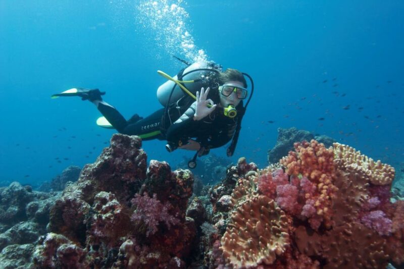 Antalya/Kemer: 2 Dives Scuba Diving Trip With Lunch - Diving Experience
