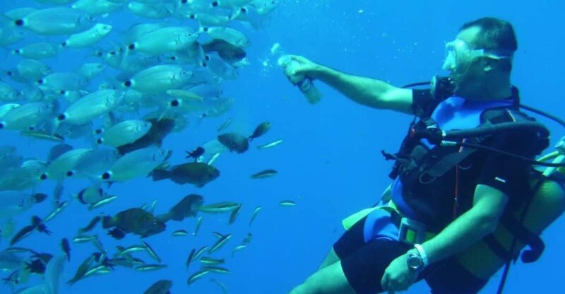 Antalya/ Kemer/ Belek: Scuba Diving With Lunch & Transfer - Key Points