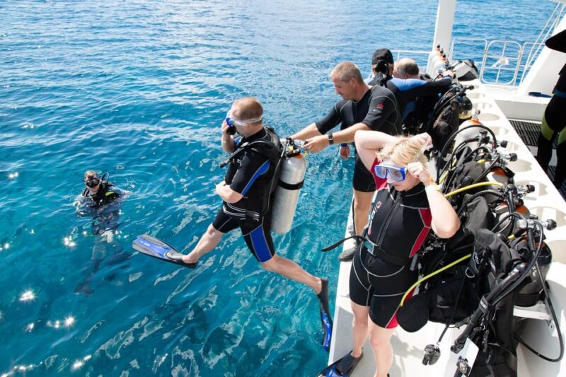 Antalya/ Kemer/ Belek: Scuba Diving With Lunch & Transfer - Booking and Cancellation
