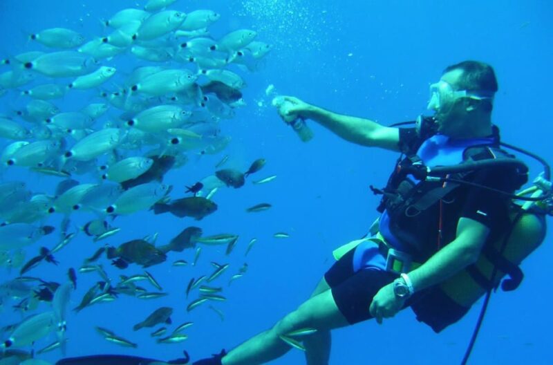 Antalya/ Kemer/ Belek: Scuba Diving With Lunch & Transfer - Diving Experience