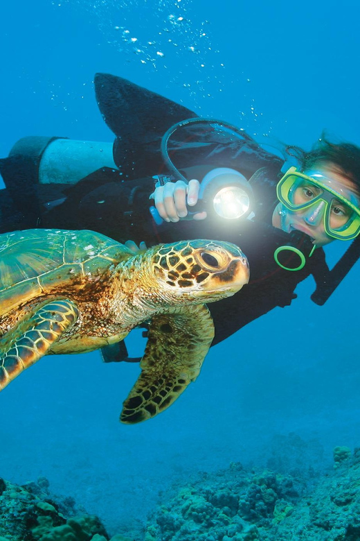 Antalya/ Kemer/ Belek: Scuba Diving With Lunch & Transfer - Training and Safety