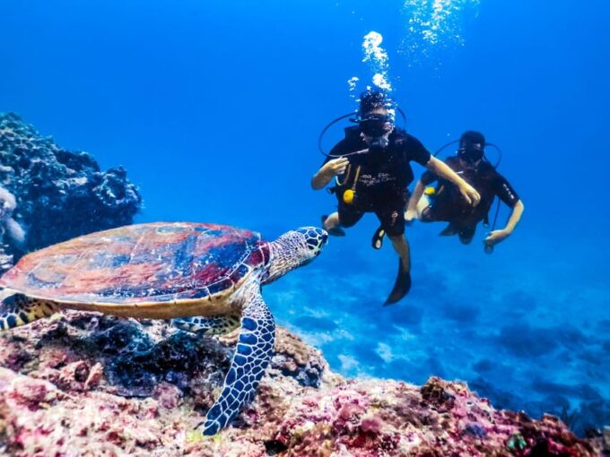 Antalya/ Kemer/ Belek: Scuba Diving With Lunch & Transfer - Meal and Refreshments