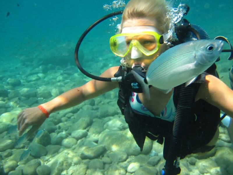 Antalya/Kemer: Scuba Diving Experience With Lunch & Pick up - Pickup and Drop-off Arrangements
