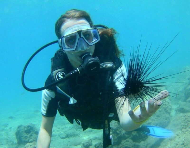 Antalya/Kemer: Scuba Diving With Pickup, Lunch, and 2 Dives - Important Information and Requirements