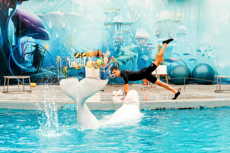 Antalya/Kemer: Waterhill Aqua Park With Dolphin Show & Lunch - Amenities and Inclusions