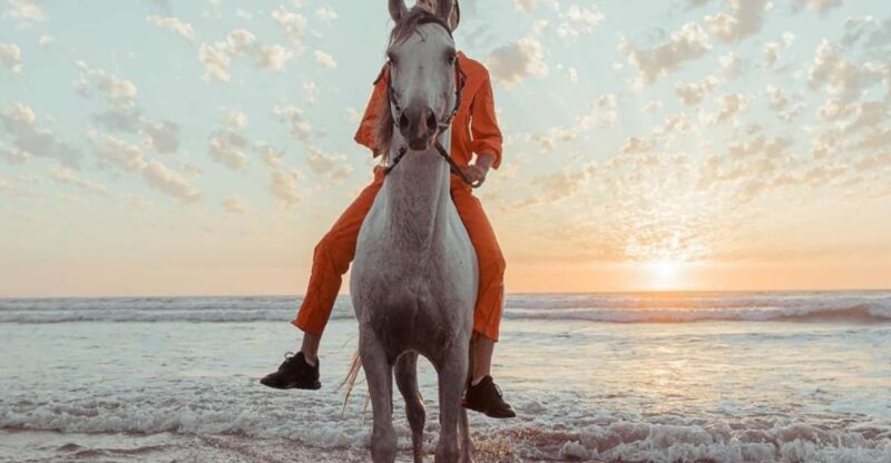 Antalya: Lara Beach & Forrest Horse Riding Safari - Key Points