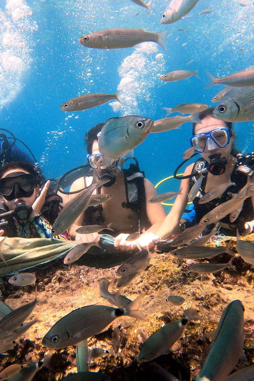 Antalya Scuba Diving by Boat Tours With Lunch - Diving Experience