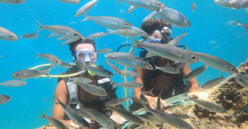 Antalya Scuba Diving by Boat Tours With Lunch - Inclusions