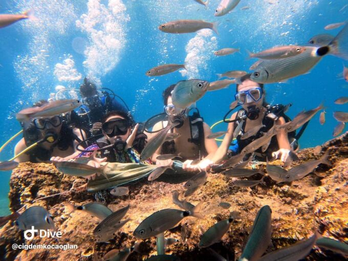 Antalya Scuba Diving by Boat Tours With Lunch - Frequently Asked Questions