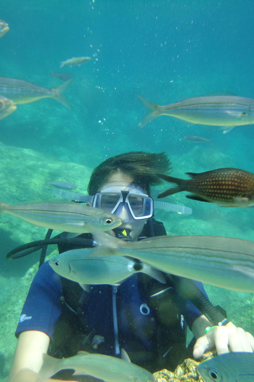 Antalya Scuba Diving Tour, With Lunch & Return Transfers - Inclusions and Exclusions