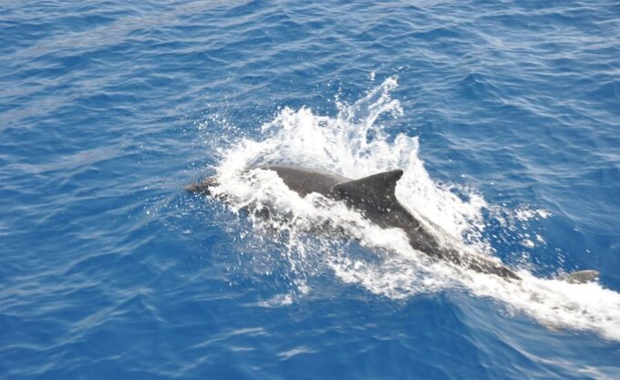 Antalya: Suluada Island Cruise With Dinner and Sunset - Additional Tips and Considerations