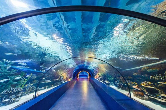 Antalya Tunnel Aquarium - Departure From Side - Pricing and Booking