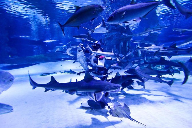 Antalya Tunnel Aquarium - Departure From Side - Customer Reviews and Ratings