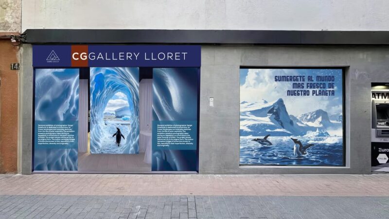 Antarctica Interactive Experience - Exhibition Details