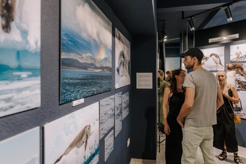 Antarctica Interactive Experience - Highlights and Experience