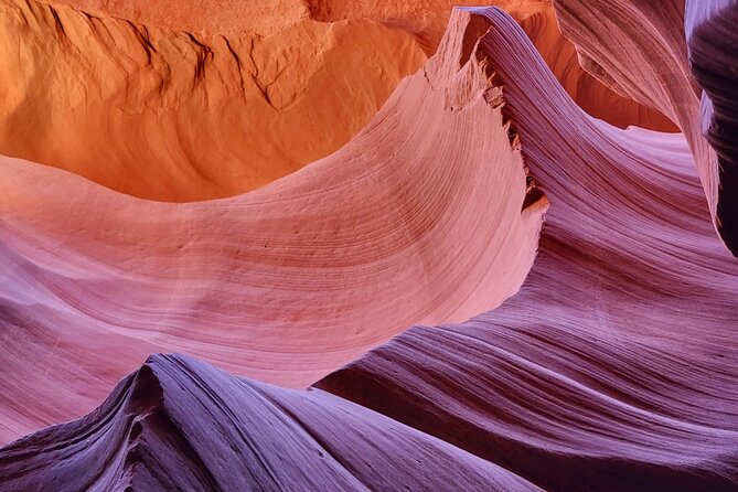 Antelope Canyon and Horseshoe Bend Daily Tour From Flagstaff - Reviews