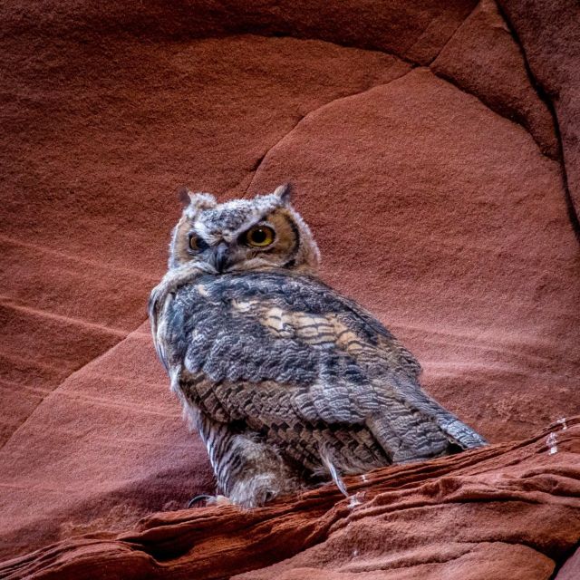 Antelope Canyon: Owl Canyon Guided Hiking Tour - Tour Highlights