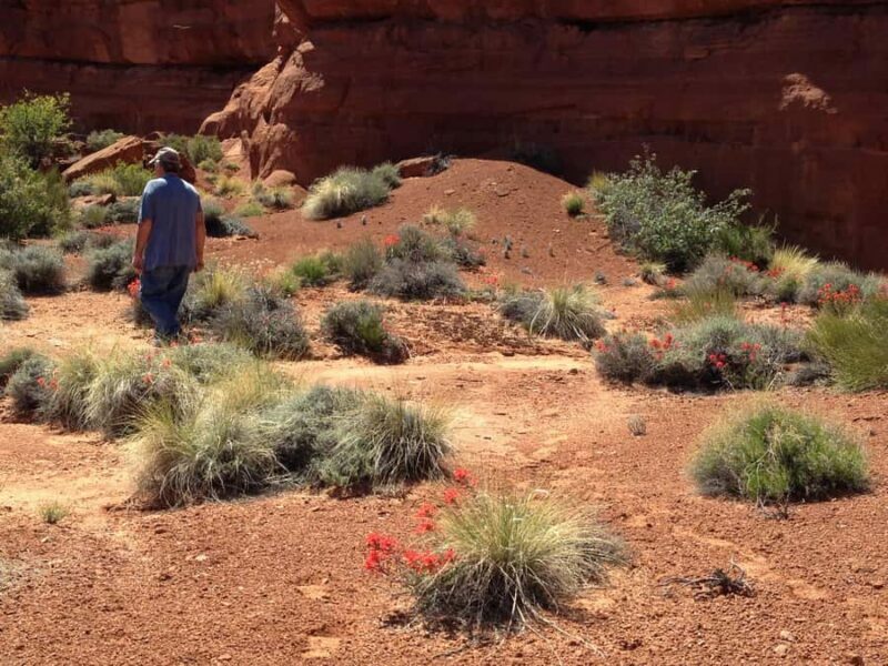 Antelope Canyon: Rams Head Canyon Tour - Final Words