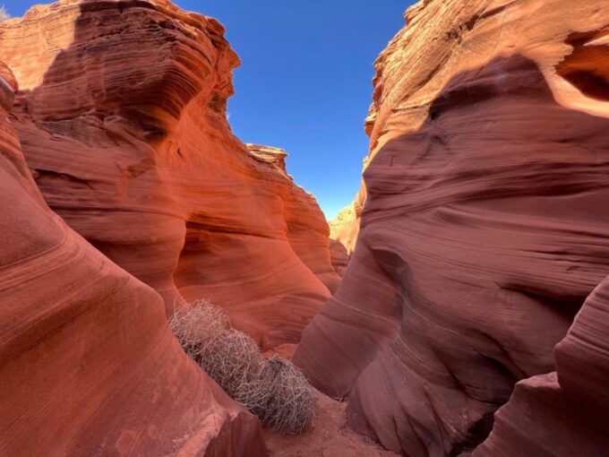 Antelope Canyon: Rattlesnake Canyon Tour - Pricing and Availability