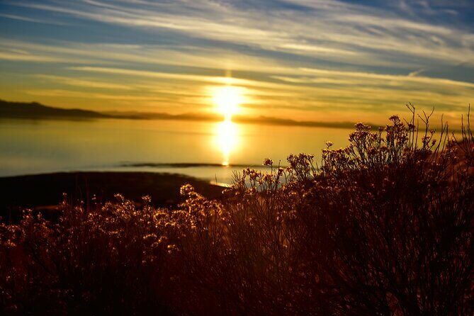 Antelope Island Sunset Wildlife Expedition Great Salt Lake Tour - Final Words