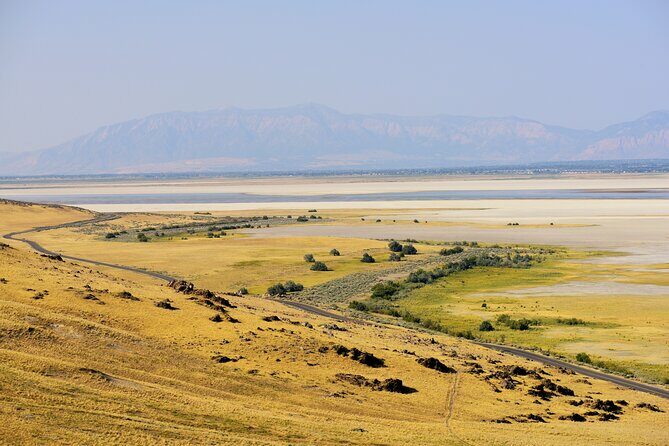 Antelope Island Wildlife Expedition Great Salt Lake Adventure - FAQ