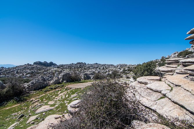 Antequera and Torcal From Granada in a Small Group up to 7 People - Departure Time