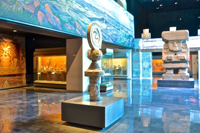Anthropology Museum Ticket - Visitor Insights and Recommendations