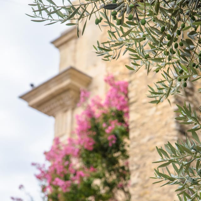 Antibes: Express Walk With a Local in 60 Minutes - Tour Highlights