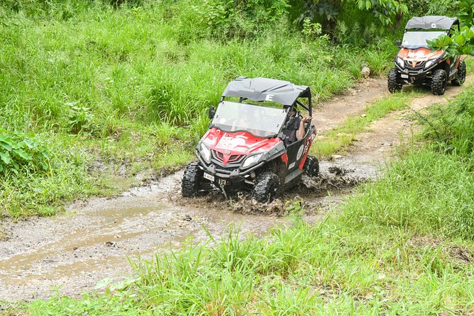 Antigua Buggy Explorer Tour From St. Johns - About Your Stay