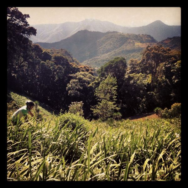 Antigua: Cielo Grande Half-Day Expert Bike Ride - Experience Highlights