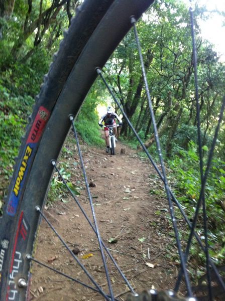 Antigua: Cielo Grande Half-Day Expert Bike Ride - Bike Specifications