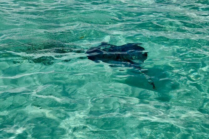 ANTIGUA FROM TOP TO BOTTOM: Stingray City, Beach, lunch & more... - Final Thoughts