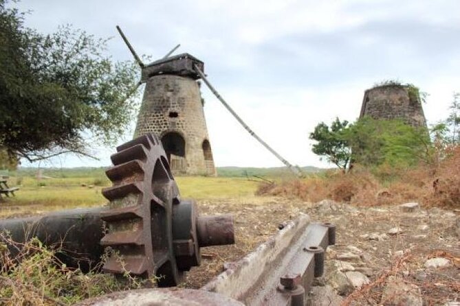 Antigua Historical Sites Island Tour - Tour Experience and Feedback