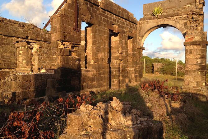Antigua Round Island Tour - Accessibility