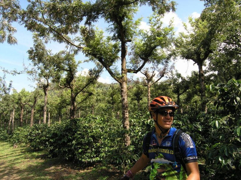 Antigua Sip N Cycle Half-Day Bike Ride and Coffee Tour - Participant Requirements and Restrictions