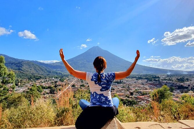 Antigua Sky High Adventure - Visiting the Earth Lodge Avocado Plantation