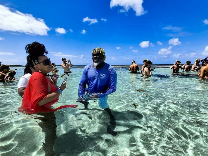 Antigua: Stingray City Experience with Round-Trip Transfer - Key Points