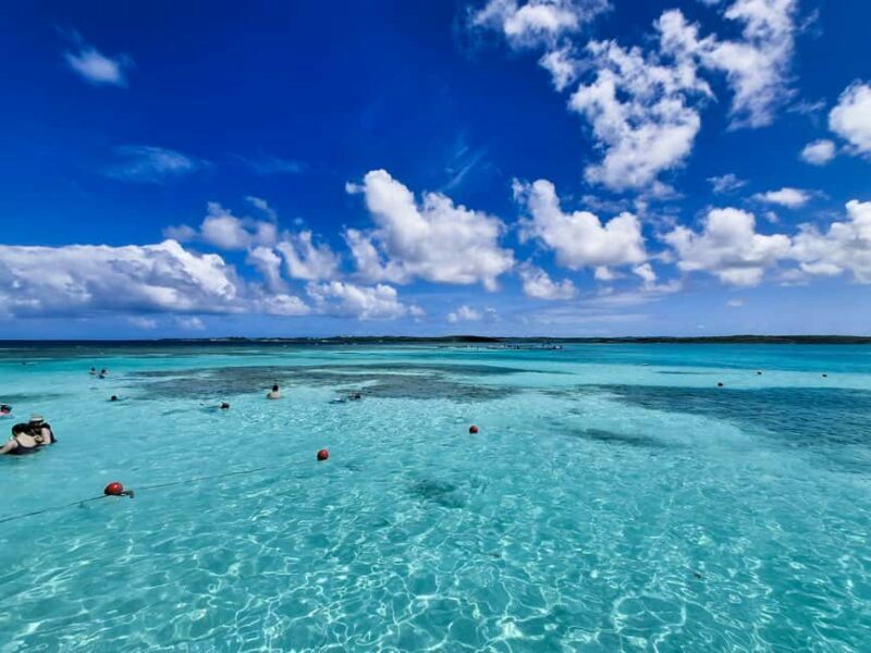 Antigua: Stingray City Experience with Round-Trip Transfer - An Authentic Encounter with Stingrays