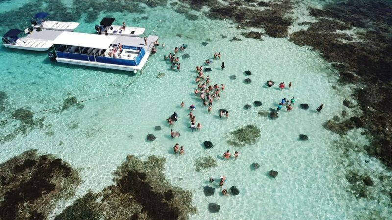 Antigua: Stingray City Experience with Round-Trip Transfer - Return Journey and Facilities