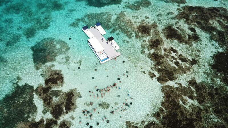Antigua: Stingray City Experience with Round-Trip Transfer - Detailed Itinerary Breakdown