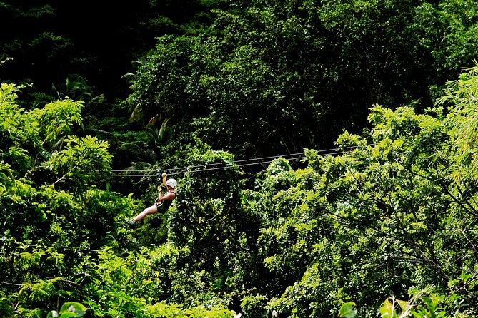 Antigua Zipline Canopy Adventure From St John'S - Thrilling Nature and Scenic Views