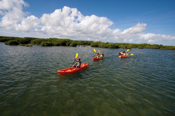 Antigua Zipline & Kayaking Combo From St. Johns - Serene Mangrove Kayaking