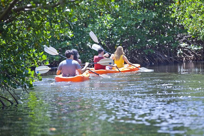 Antigua Zipline & Kayaking Combo From St. Johns - Booking Confirmation and Guarantee