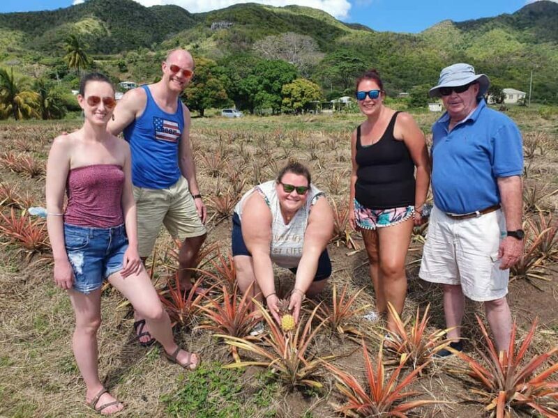Antiguan experience home tour with local guide with lunch - Introduction