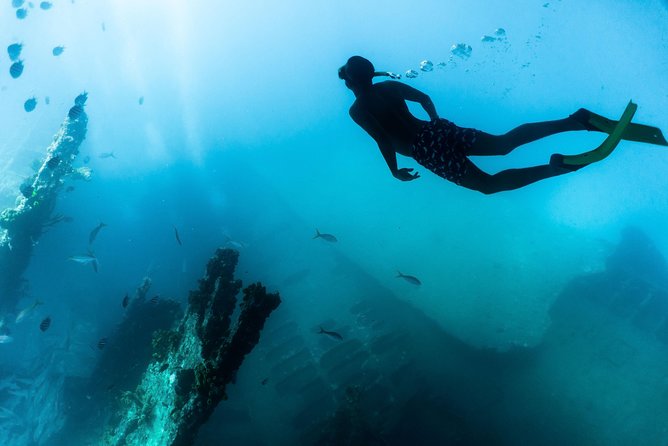 Antilla Shipwreck and Catalina Bay Snorkel Sail - Booking and Cancellation Policies