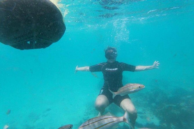 Antilla Shipwreck Seabob Tour - The Experience of Using Seabobs